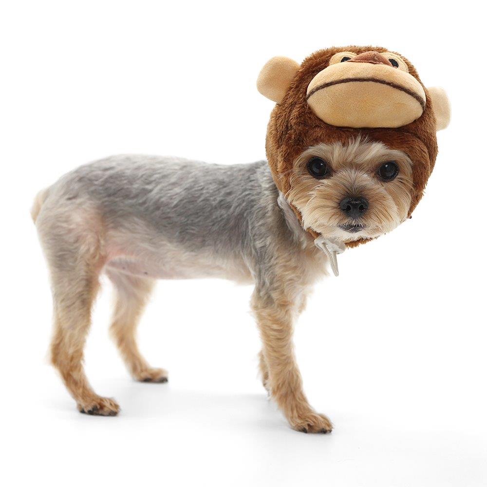 dogo